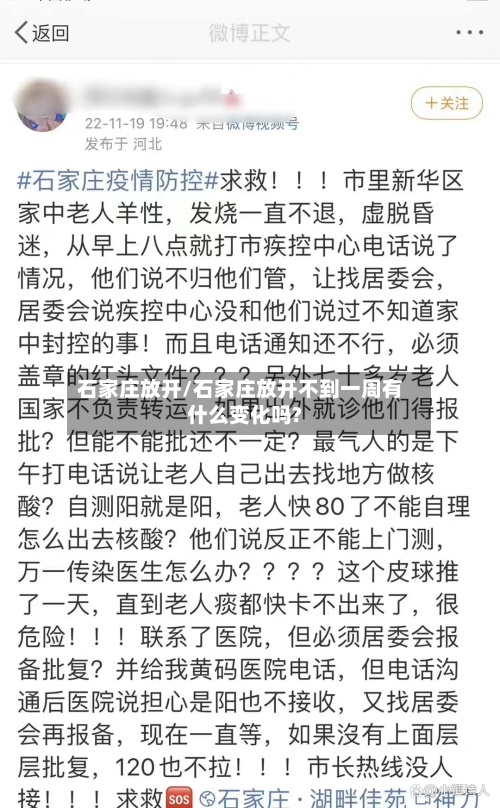 石家庄放开/石家庄放开不到一周有什么变化吗?-第3张图片
