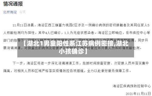 【湖北1男童阳性系江苏病例密接,湖北小孩确诊】-第3张图片