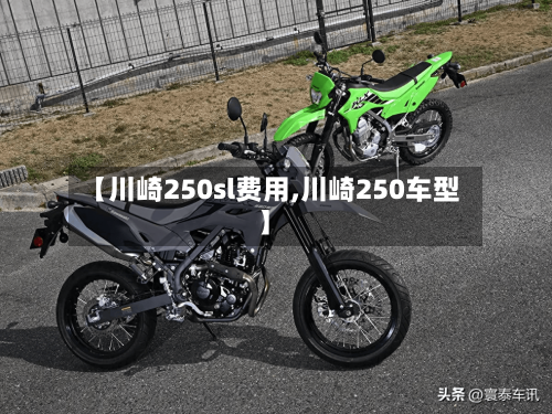 【川崎250sl费用,川崎250车型】-第2张图片