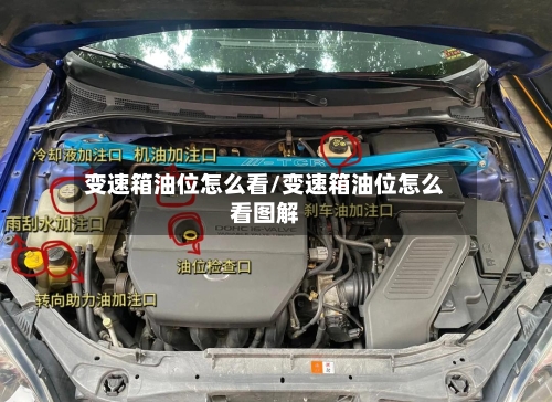 变速箱油位怎么看/变速箱油位怎么看图解-第2张图片