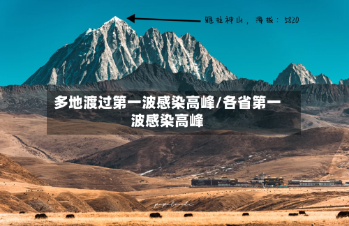 多地渡过第一波感染高峰/各省第一波感染高峰